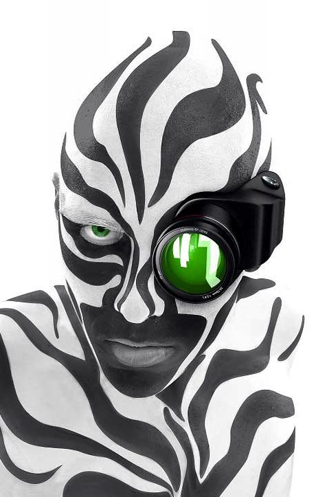zebra szem
